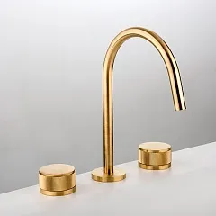 MD Gattoni