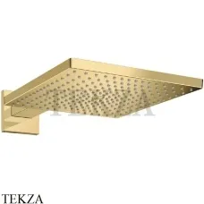 Hansgrohe Raindance Е Верхний душ 300 1jet с держателем 26238990, золото глянец