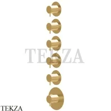 Newform X-Steel 316 Термостат для душа 5 потоков, внешняя часть 69862EX.59.097, PVD Brushed gold