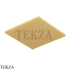 Zucchetti Верхняя душевая лейка 20х20 для кронштейна Z94268.P41, brushed gold PVD