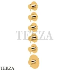 Newform XT Термостат для душа на 5 потоков, внешняя часть, 67602E.61.020, PVD Glossy gold