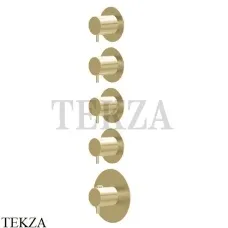 Newform X-Steel 316 Термостат для душа 4 потока, внешняя часть 69861EX.59.098, PVD Brushed pale gold