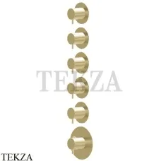 Newform X-Steel 316 Термостат для душа 5 потоков, внешняя часть 69862EX.59.098, PVD Brushed pale gold