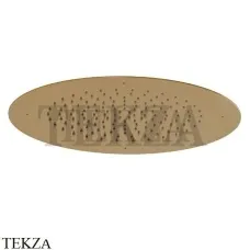 Newform Душевая лейка круглая стальная с дождевой струей 682.61.020, PVD Glossy Gold