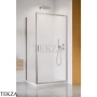 Radaway Alienta DWJ+S Душевая дверь 120 см, 10260120-91-01, брашированный никель