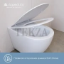 Aqueduto OVO Унитаз подвесной безободковый торнадо, сиденье c микролифтом OVOT0110, Белый глянец