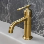 Boheme ETERNA Смеситель для биде, без гарнитура 176-BRB, brushed bronze