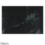 TECEspring Панель смыва для унитаза S240611, темный базальт