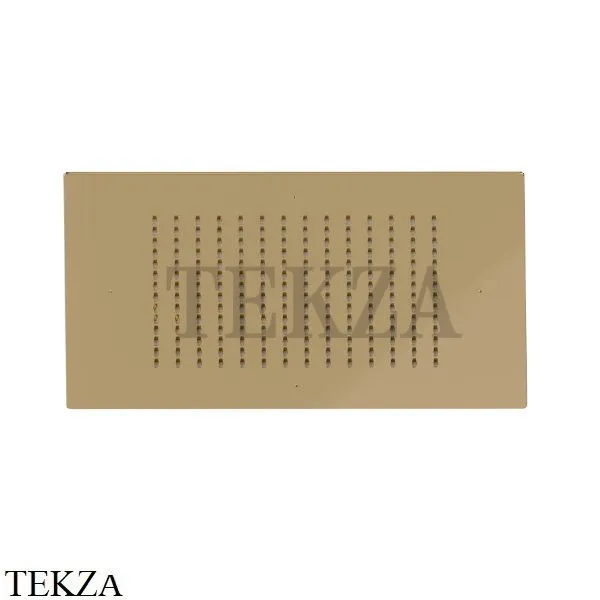 Newform Душевая лейка квадрат, стальная с дождевой струей 683.61.020, PVD Glossy Gold