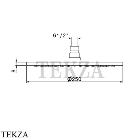 Newform Верхняя круглая лейка D250, без кронштейна 27747.59.097, PVD Brushed gold