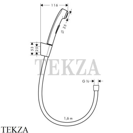 Hansgrohe Bidette Гигиенический душ с держателем 32128000, хром глянец
