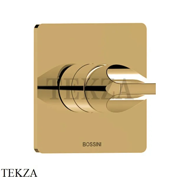 Bossini  APICE Смеситель для душа, 1 поток, внешняя часть Z00504.043, Золото Satined