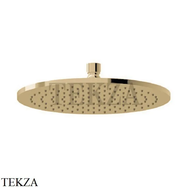 Newform Верхняя круглая лейка D250, без кронштейна 27747.M0.071, Gold satin