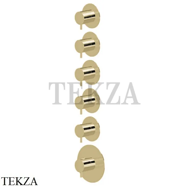 Newform XT Термостат для душа на 5 потоков, внешняя часть, 67602E.M0.071, Gold satin