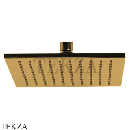 FIMA Carlo Frattini WELLNESS Верхняя лейка для кронштейна 20х20 см F2630/2OS, Brushed gold