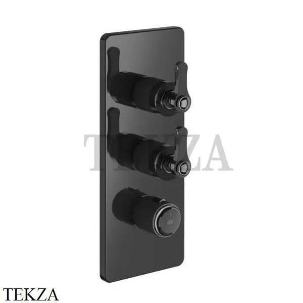 Gessi VENTI20 Термостат для душа, 2 поток, внешняя часть 65200-706, Black Metal PVD