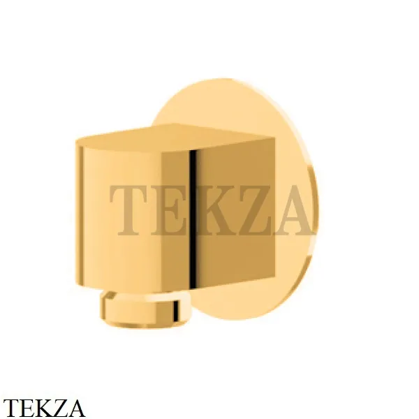 Newform Подключение воды к стене, вывод для шланга 68499.61.020, PVD Glossy gold