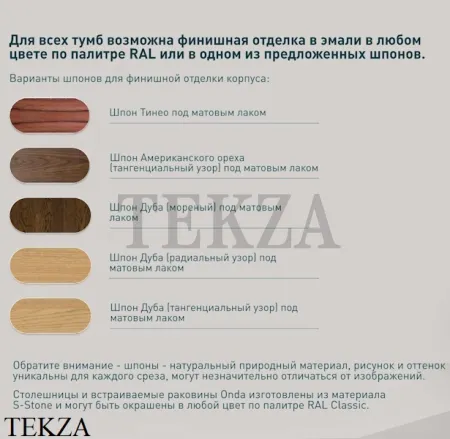 Salini Domino Тумба подвесная 100 со столешницей S-Stone без раковины 27D210F, шпон, фрезерованный фасад