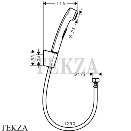 Hansgrohe Bidette Гигиенический душ 32129000, хром глянец