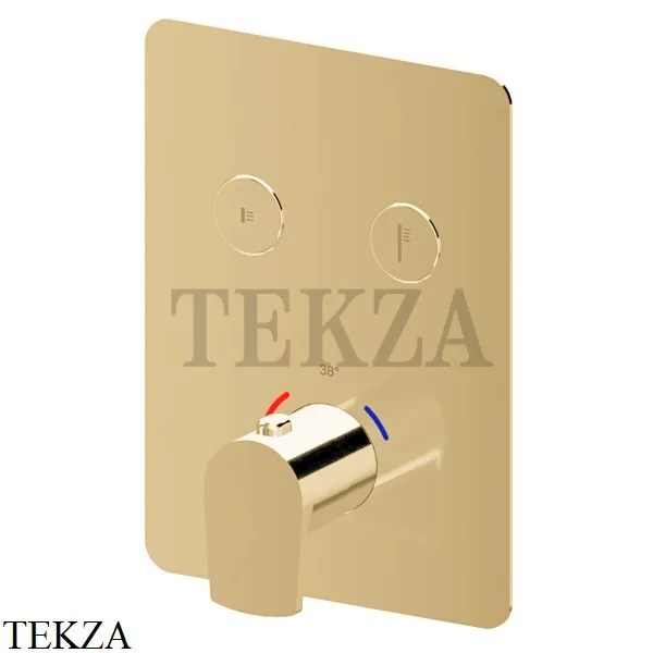 Newform HAKA Термостат для душа, 2 потока, Select, внешняя часть 70436E.35.099, Silky Gold